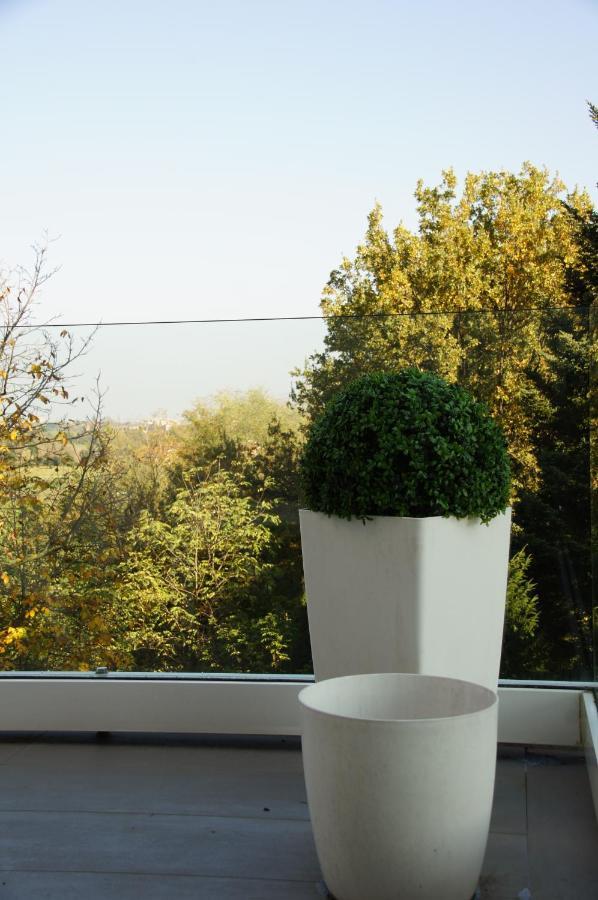 Casa Carla La Suite, Con Vista Del Verde Dei Colli Bolognesi Sasso Marconi Exteriör bild